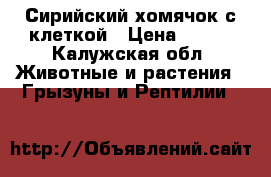 Сирийский хомячок с клеткой › Цена ­ 200 - Калужская обл. Животные и растения » Грызуны и Рептилии   